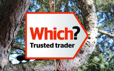 Which? Trusted Tree Surgeon