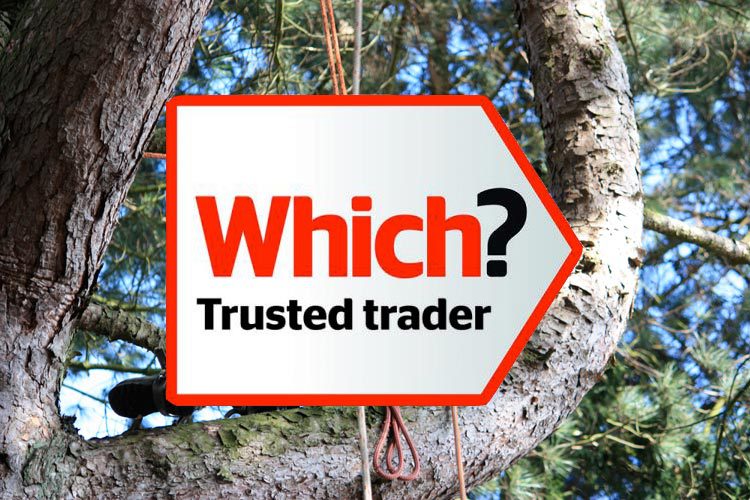Tree surgeon in Buckinghamshire with Which? Trusted Traders logo
