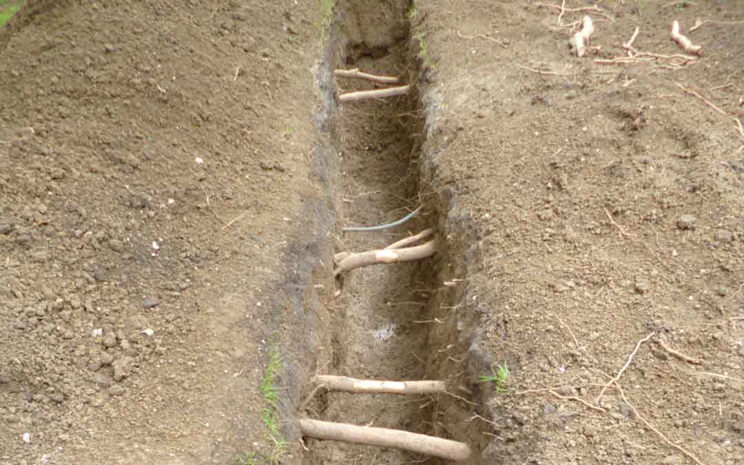 Air Spade Demonstration in Oxford