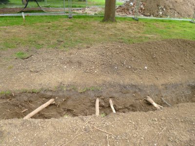 Tree work with air spade in Aylesbury