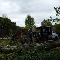 Wood chipping in site clearance Oxford