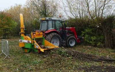 Tree Clearance Work in Oxfordshire