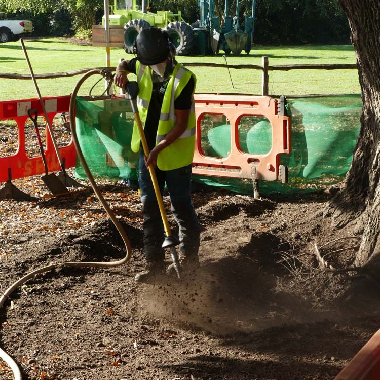 Airspade tree services Oxfordshire