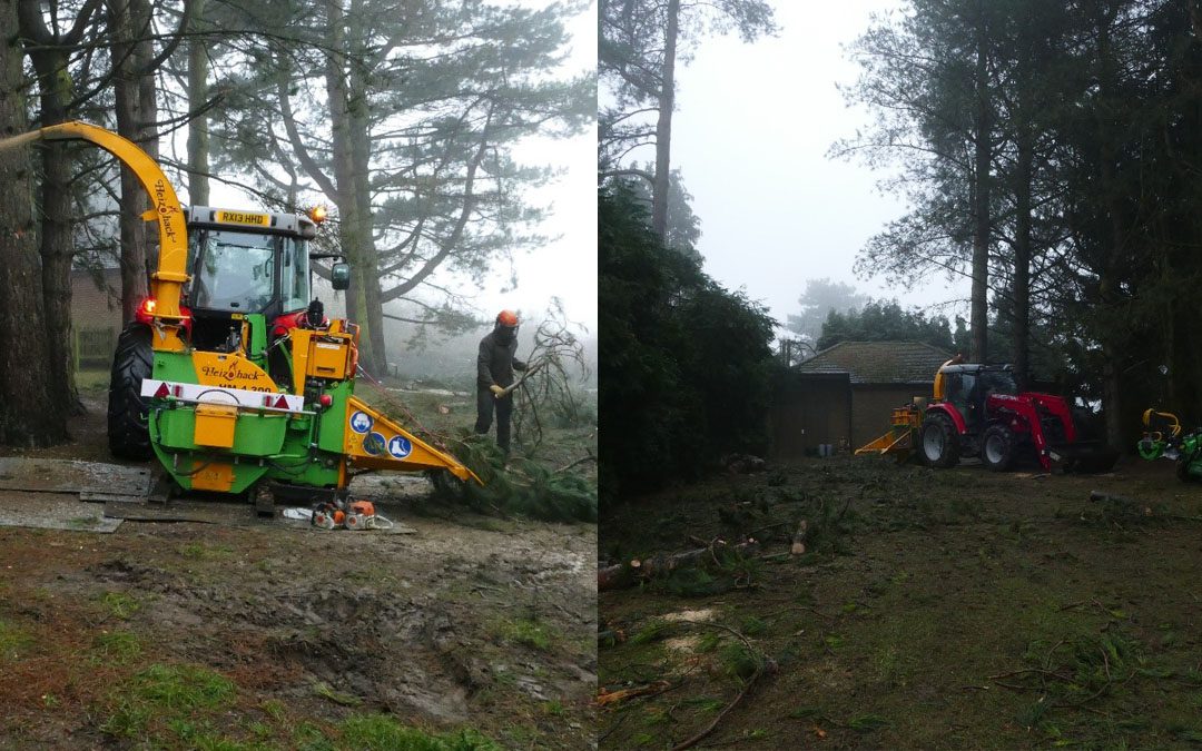 Tree Removal Headington