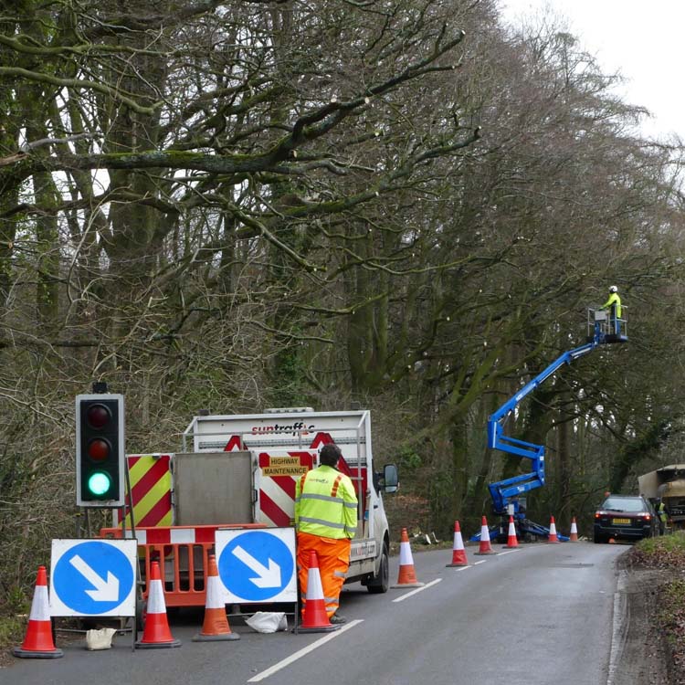 tree surgeon services bicester oxfordshire