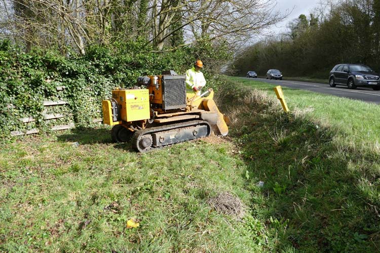 tree removal kidlington