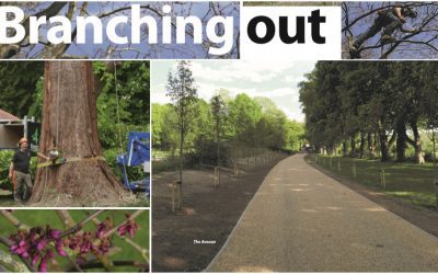“Branching Out” – Thame Out Magazine Article