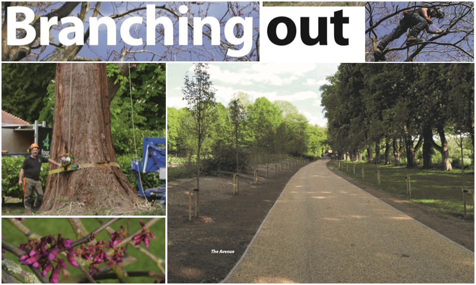 “Branching Out” – Thame Out Magazine Article