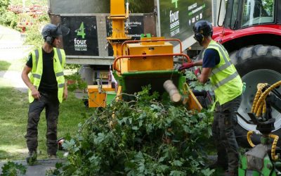 Felling & Clearance Work to Alleviate Tree Related Subsidence In South Oxfordshire.