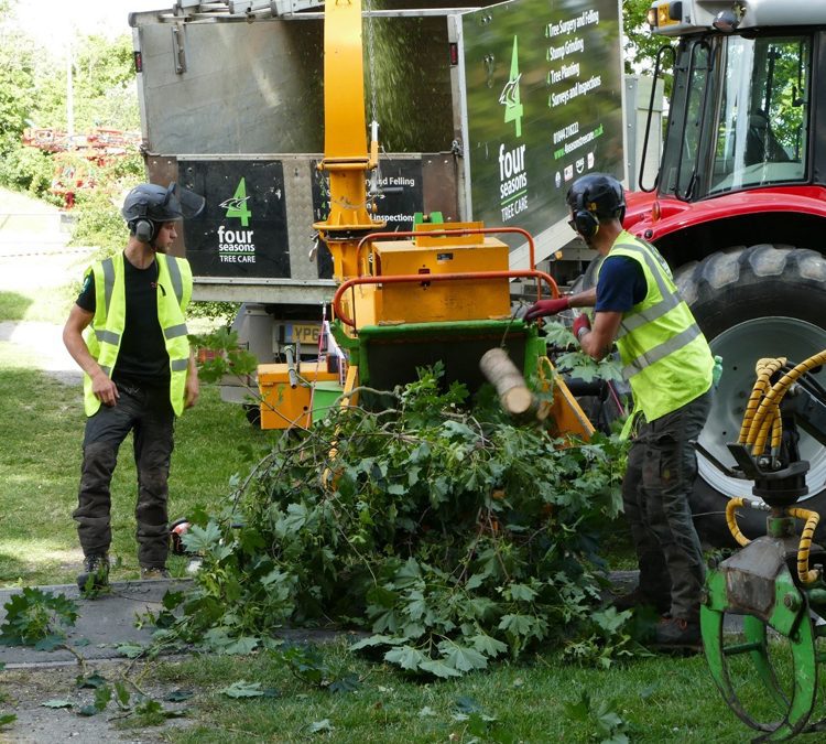 Tree Felling & Clearance South Oxfordshire