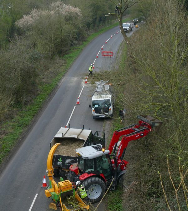 Tree Surgery & Felling Work on Roadside Trees In Oxfordshire