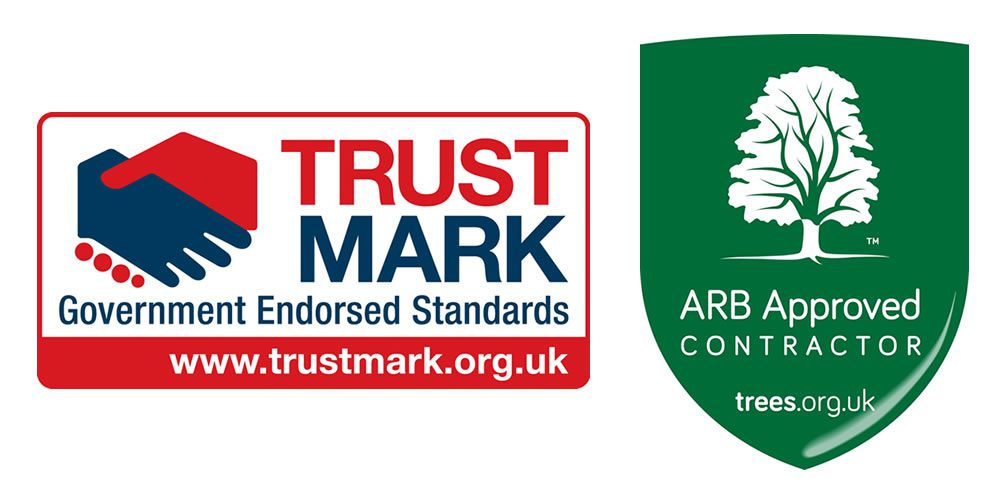 Approved, Recommended and Reviewed Tree Surgery Company in Thame OX9
