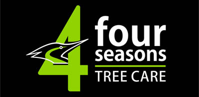 4 Seasons Tree Care