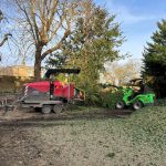 Wallingford tree felling