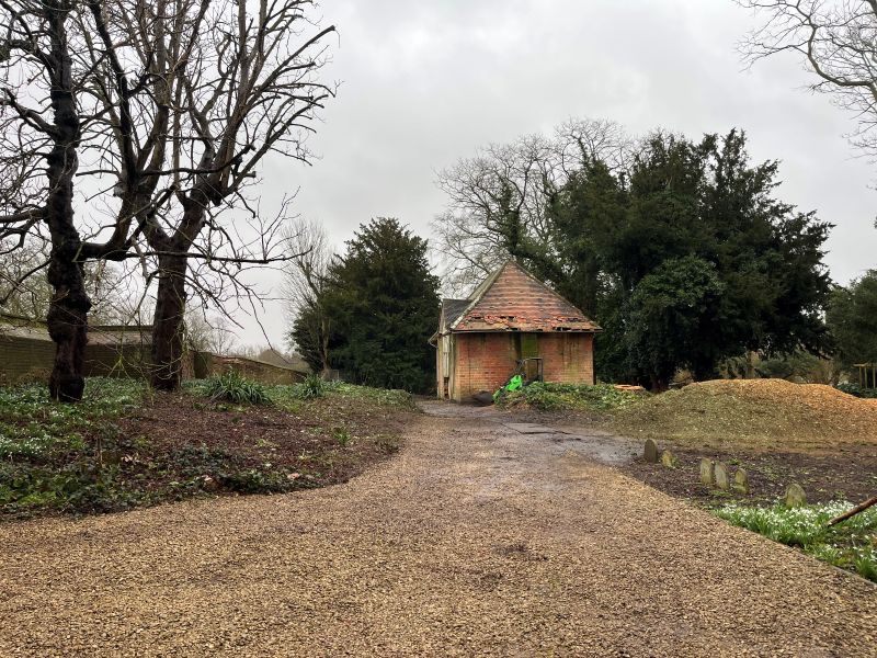 Tree clearance in Wallingford